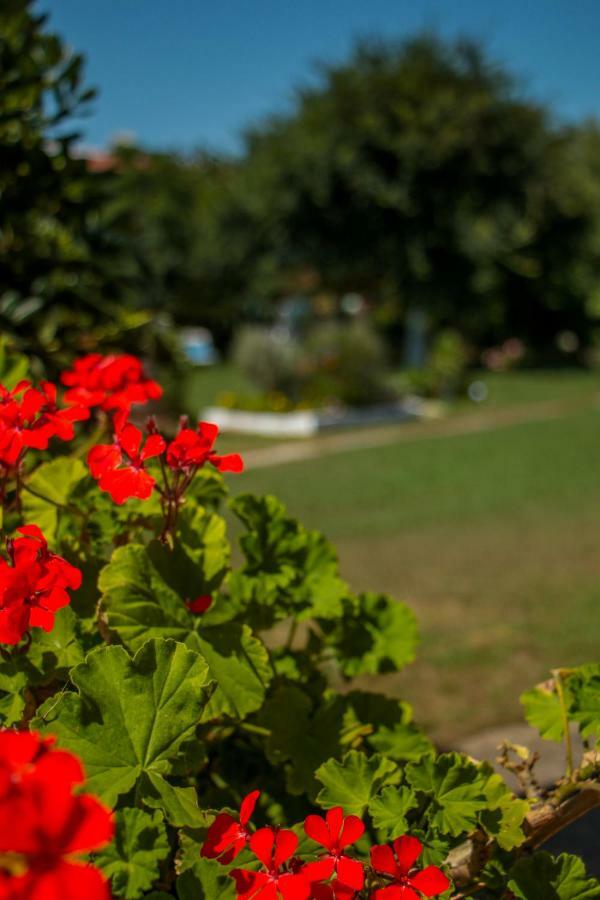 Lefkes Apartments Acharavi (Corfu) Exterior foto